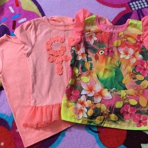 🌸bundle of girls 5t pretty short sleeve shirts🌸